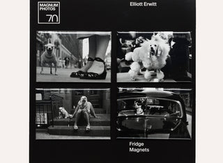 Elliott Erwitt Set of Magnets - Plinth